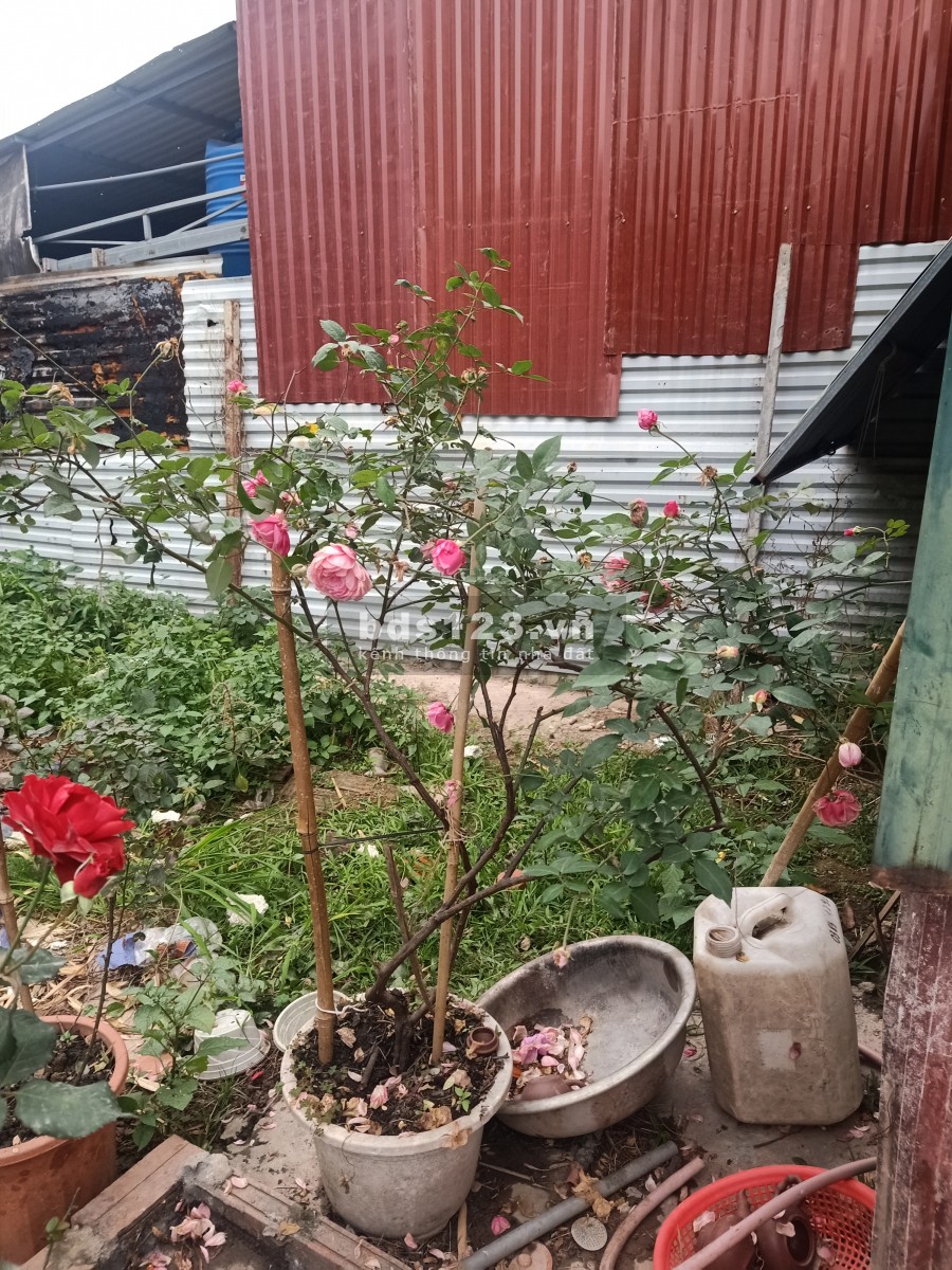 Bán đất mặt đường Phan Bá Vành, đã có nhà xưởng, điện 3 pha, nước sạch, đang cho thuê thu nhập tốt