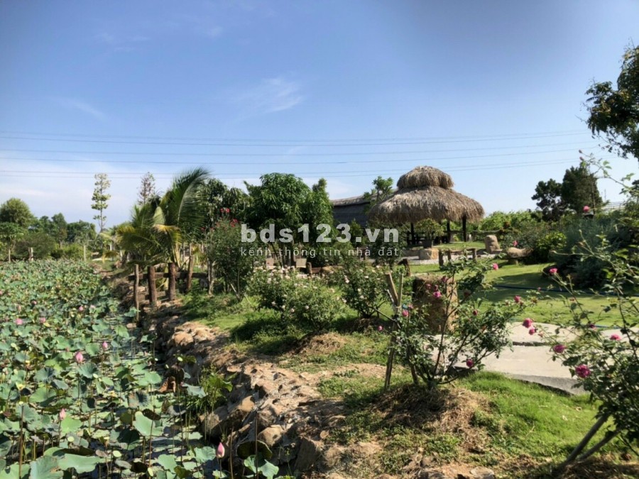 Bán lô đất vườn Cách TT Bà Rịa 10p, 2 mặt tiền đường nhựa nhà nước, View hồ châu pha - PM