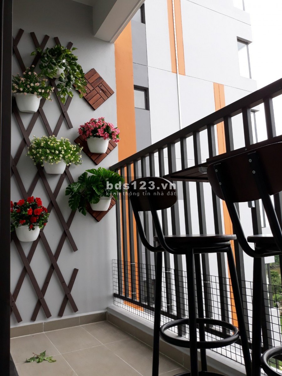 Thuê ngay căn hộ siêu sốc chung cư Safira, đủ diện tích, lh 0902305909