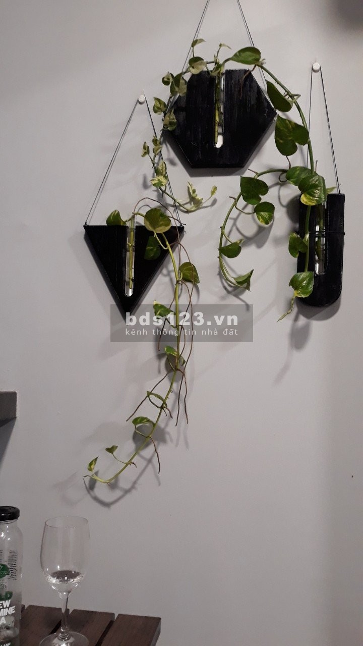 Thuê ngay căn hộ siêu sốc chung cư Safira, đủ diện tích, lh 0902305909