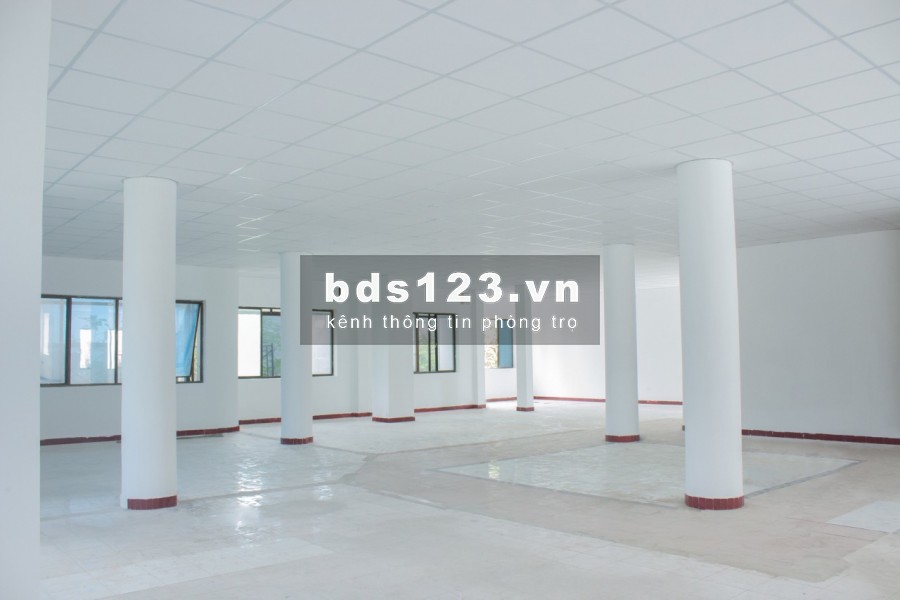 Tòa nhà 131 Hòa Hưng 2 mặt tiền qQận 10, giá thoả thuận có bao phí quản lí
