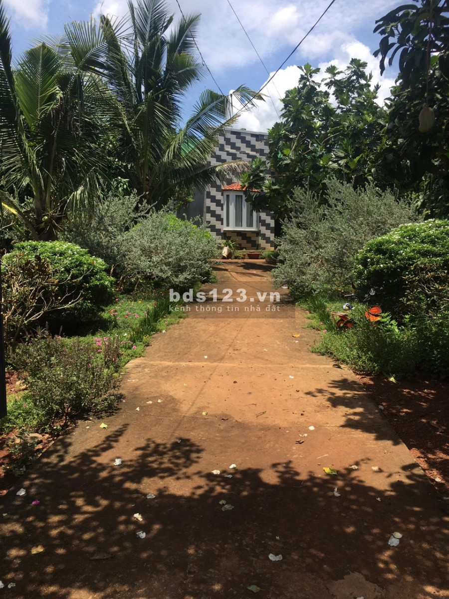 Bán đất vườn nghỉ dưỡng 1000m2 quy hoạch màu hồng full TC 100% ở Đồng Nai NH cho vay 70% .0932056011.