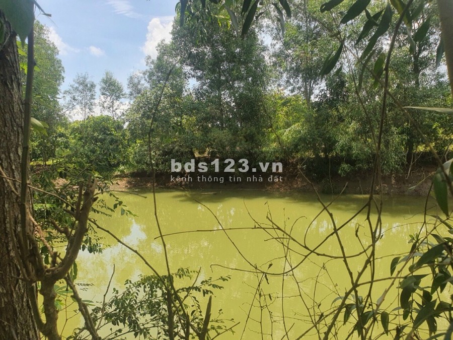 Bán đất vườn nghỉ dưỡng 1000m2 quy hoạch màu hồng full TC 100% ở Đồng Nai NH cho vay 70% .0932056011.