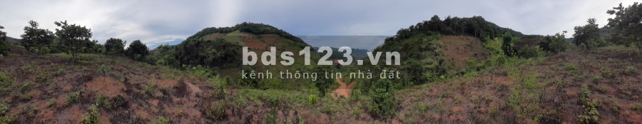 Cần bán nhanh khu đất 1ha Mường Sang, Mộc Châu, Sơn La