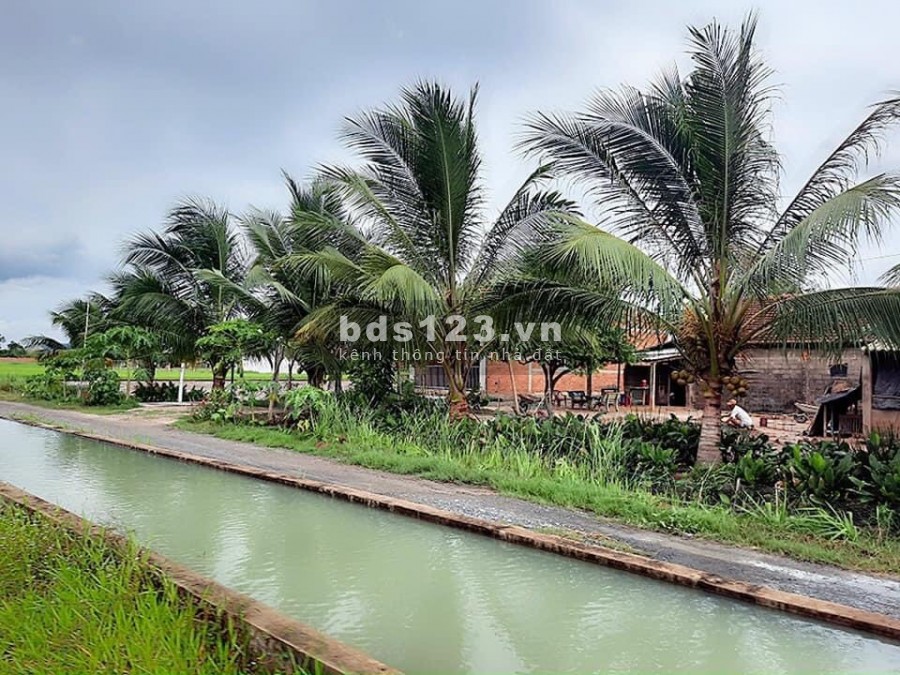 Bán Đất View Khu Hồ Du lịch sinh thái Mỹ Hạnh Nam Rộng 13ha