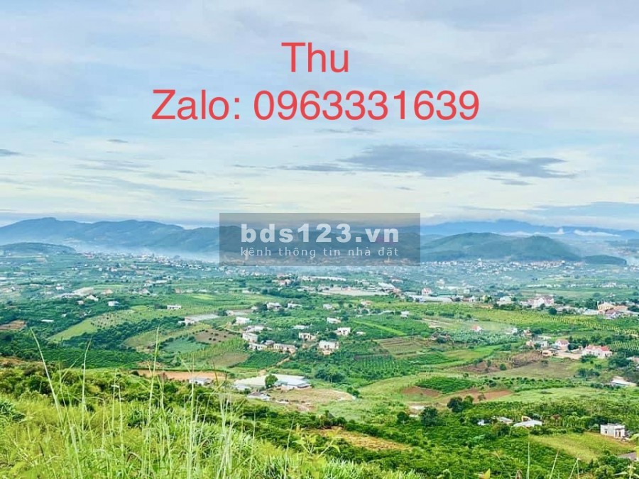 Đất đầu tư diện tích lớn giá sinh lời cao, sang tên công chứng