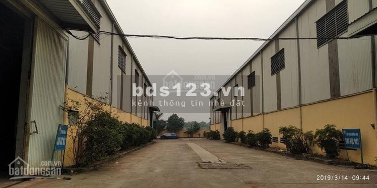 Cho thuê kho xưởng DT 1000m2- 5000m2 Cổ Loa, Đông Anh, Hà Nội