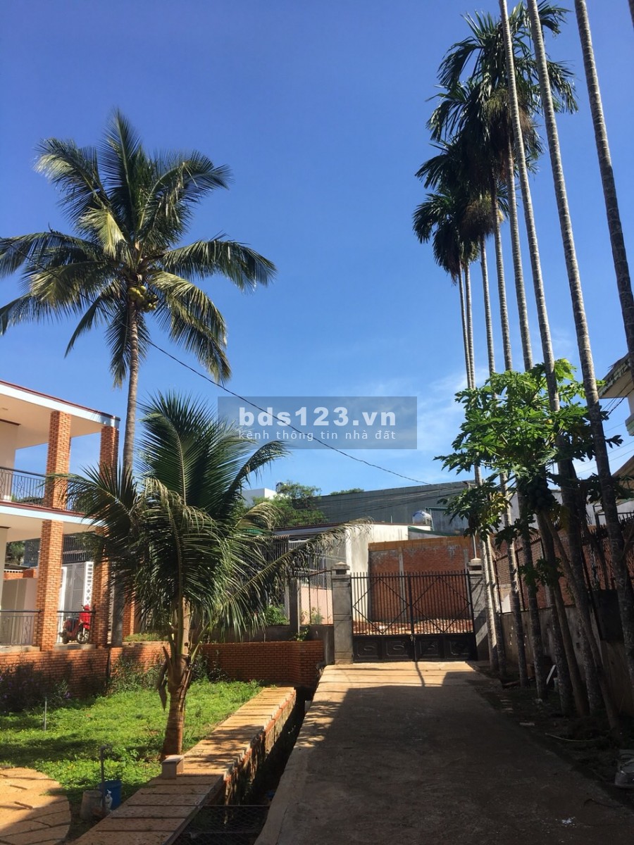 Nhà mới xây 100m2 trang bị hiện đại, khu vực dân cư đông đúc