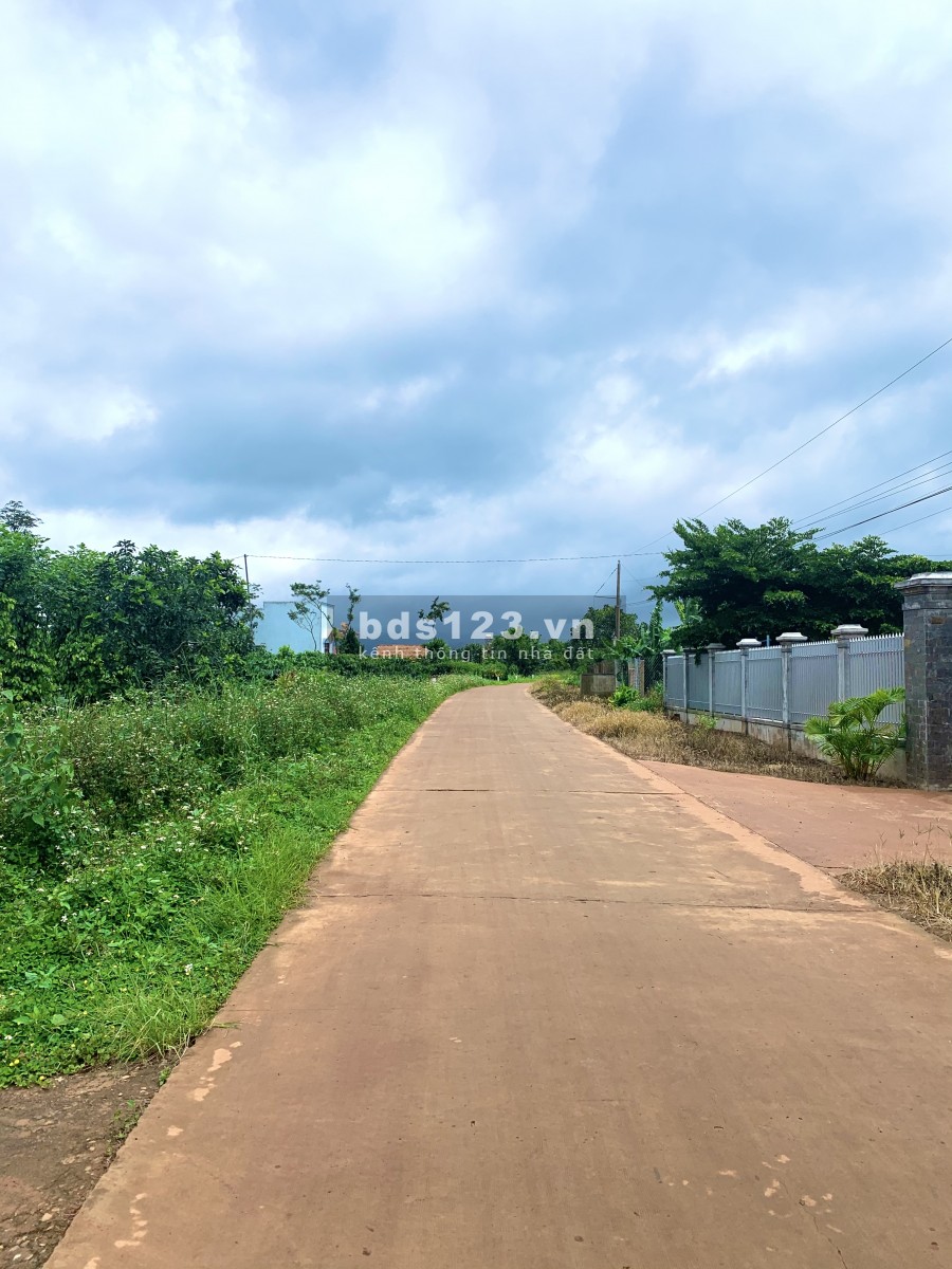 Đất đầu tư diện tích lớn giá sinh lời cao, sang tên công chứng