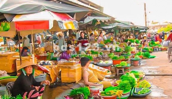 Bán 10000m2, đất ngay mặt tiền Tỉnh Lộ, đối diện khu công nghiệp giá 1.7 tỷ, pháp lí rõ