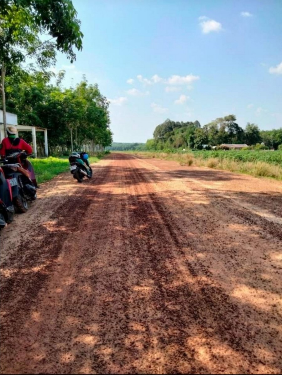 Đất sào giá rẻ sát KCN Cây Trường Bình Dương, giá bán 1050m2/lô