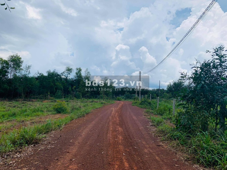 Đất tại Hớn Quản, Bình Phước giá ngộp chỉ với 2xxtr/1000m2