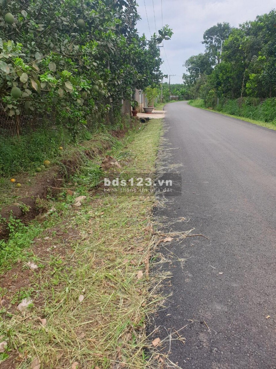Đất sào giá rẻ ấp 4 xã bình lộc, diện tích 2000m2, sổ riêng