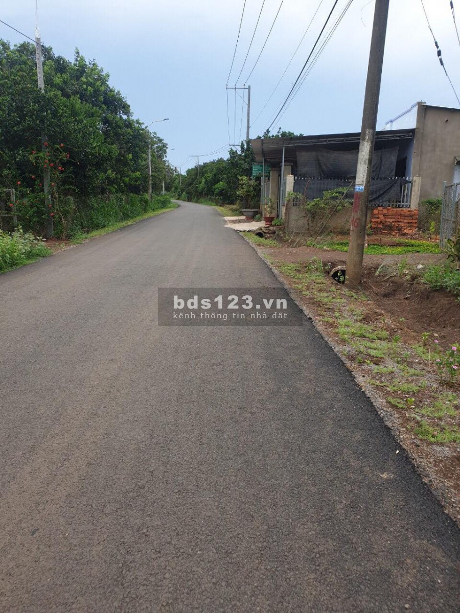 Đất sào giá rẻ ấp 4 xã bình lộc, diện tích 2000m2, sổ riêng