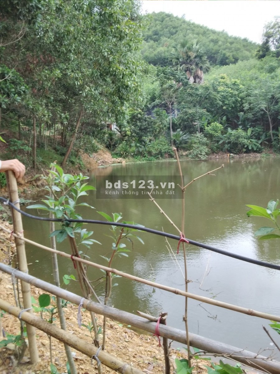 Bán mảnh đât 20.000m2 có 1270m thổ cư tại Băc Sơn Kim Bôi Hoà bình