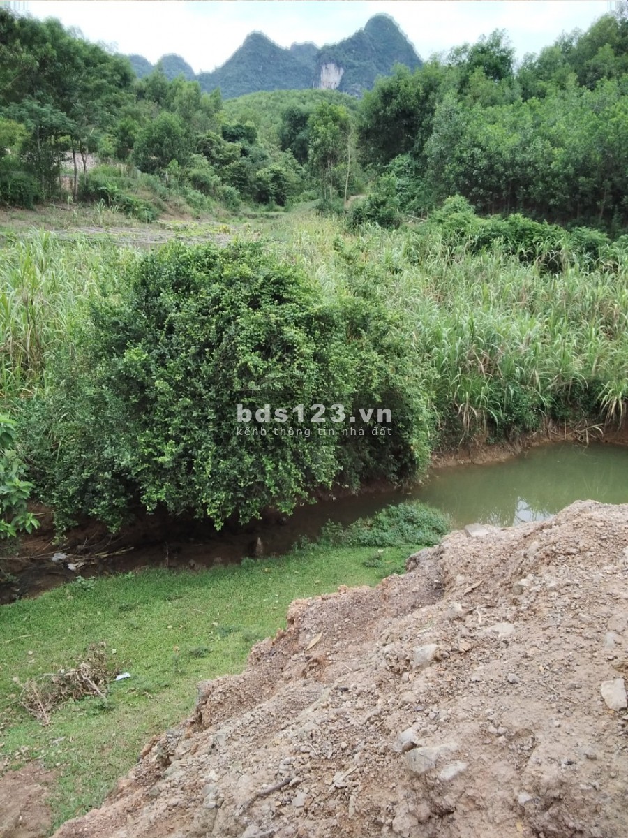 Bán mảnh đât 20.000m2 có 1270m thổ cư tại Băc Sơn Kim Bôi Hoà bình
