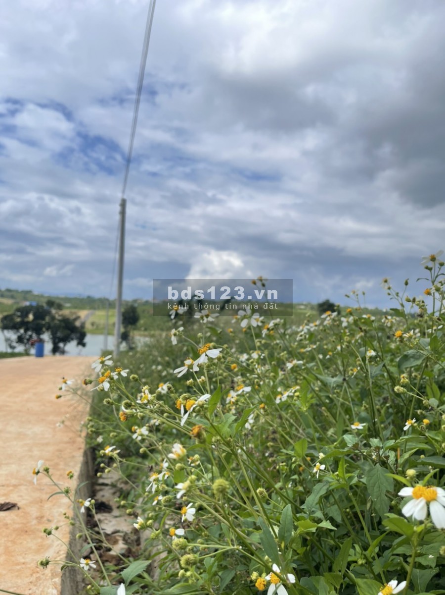 Đất view hồ Phúc Thọ, thoáng mát, sổ riêng, chính chủ bao sang tên