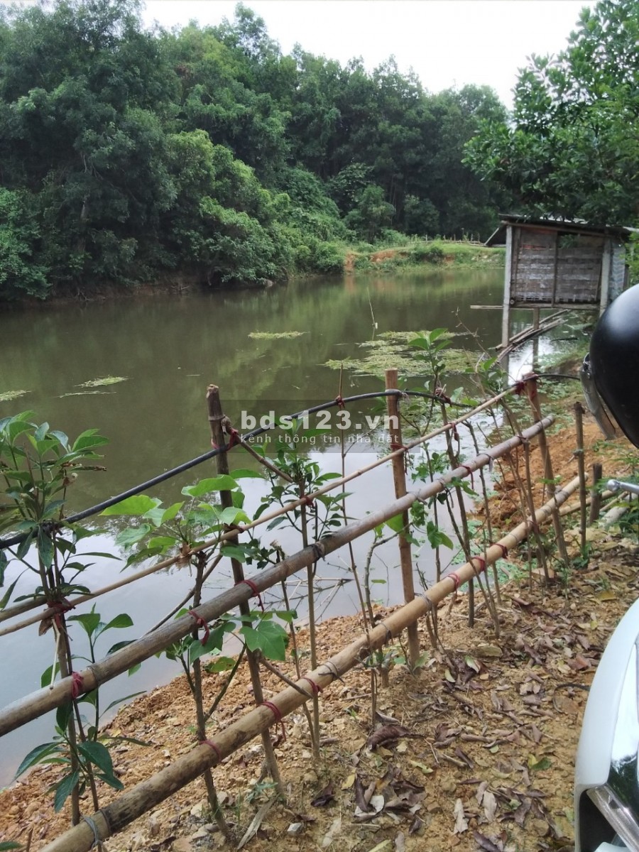 Bán mảnh đât 20.000m2 có 1270m thổ cư tại Băc Sơn Kim Bôi Hoà bình