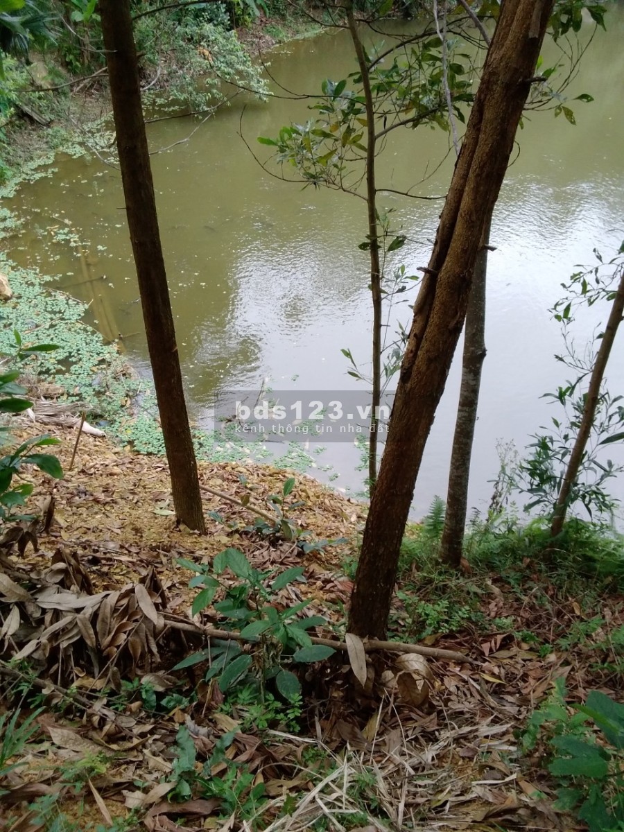 Bán mảnh đât 20.000m2 có 1270m thổ cư tại Băc Sơn Kim Bôi Hoà bình