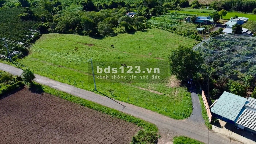 Mở bán Lộc An Riverside - Mặt tiền đường Long Đức-Lộc An, 4tr/m2 thổ cư 100% PKD 0903 066 813 chuyên đất láng dài