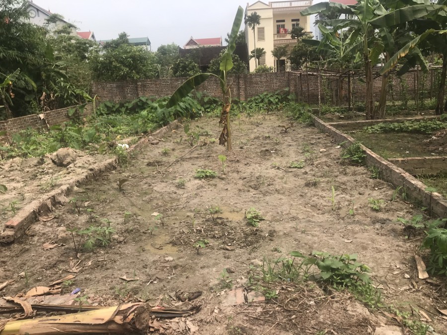 Hàng hiếm 60m2 tại Nguyên Khê, Đông Anh, khu dân cư đông, an ninh