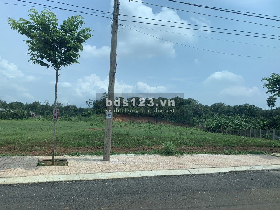 14 nền khu B thuộc khu phố 1 Hắc Dịch, giữ chỗ 20 triệu/nền nôi bộ mở bán tháng 6/2021