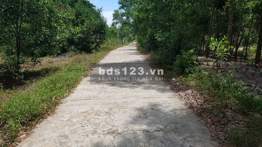 Cần bán 4 lô liên kề tại Vinh Phú - Phú Vang, khu dân cư đông đúc