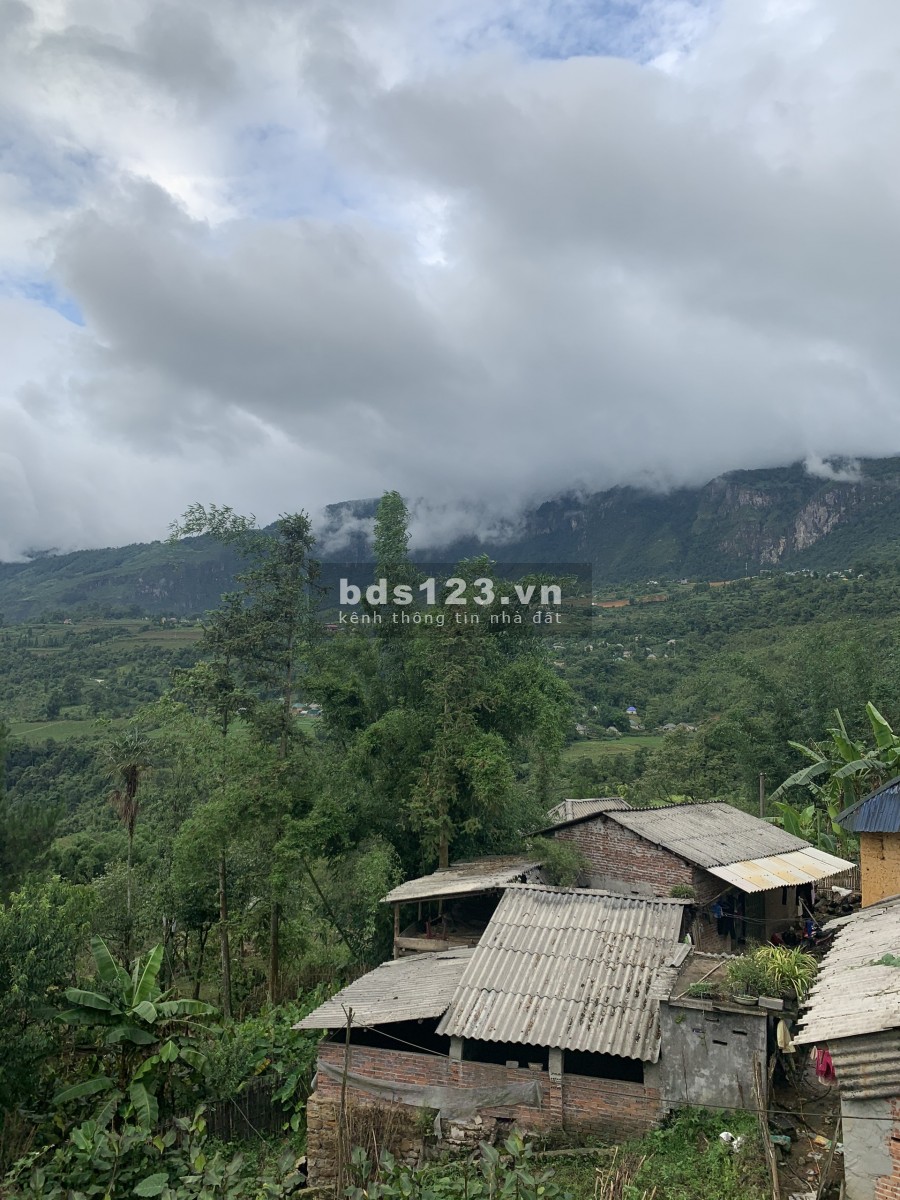 Tài chính chưa đến 1 tỷ bạn đã có cơ hội sở hữu ngay lô đất 730m Thôn Sín Chải View săn mây