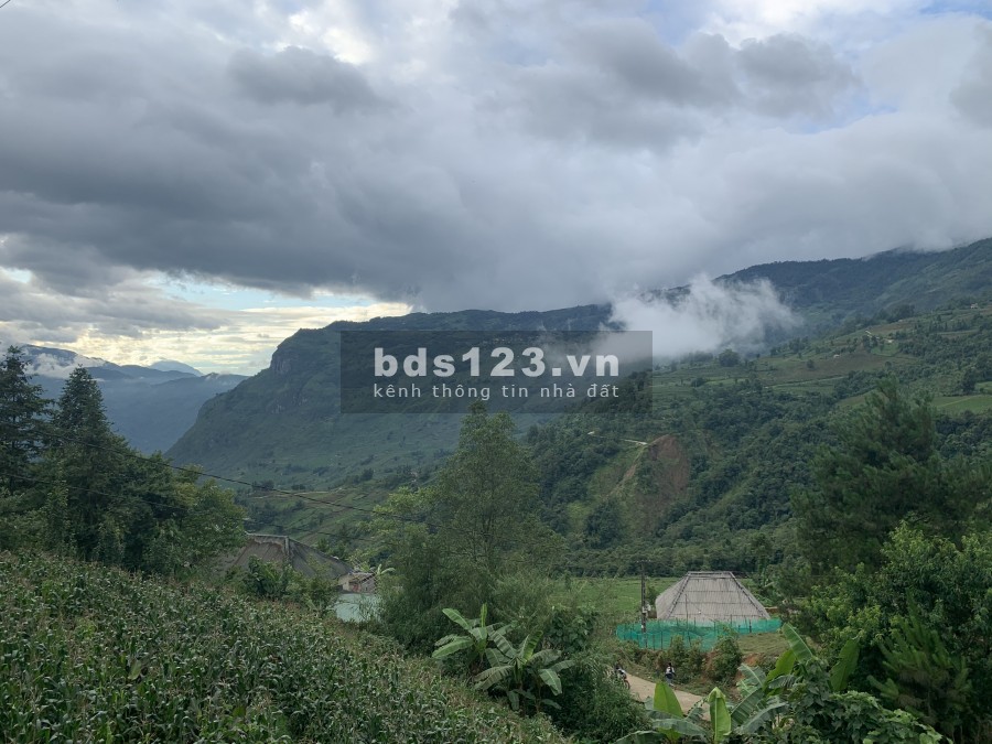 Tài chính chưa đến 1 tỷ bạn đã có cơ hội sở hữu ngay lô đất 730m Thôn Sín Chải View săn mây