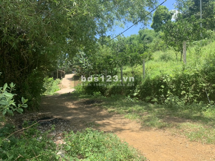 Bán nhanh mảnh đât 1244m full thổ cư, giá bán 1.5 tỷ, sổ đỏ chính chủ
