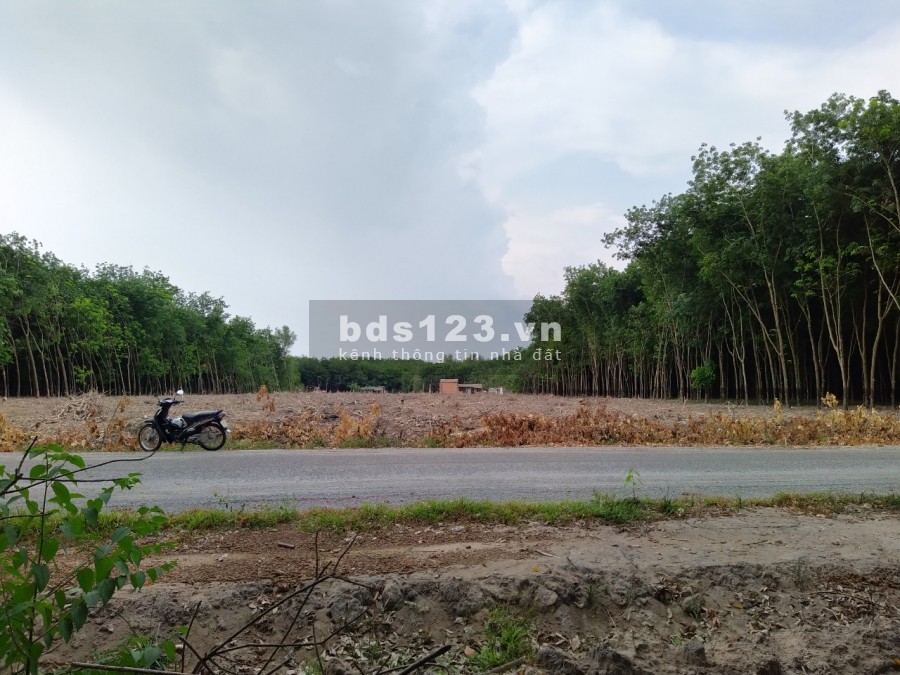 Bán rẻ 5000m2, đất chính chủ ở Chơn Thành, sát mặt tiền DT756, sổ hồng riêng, 570 triệu
