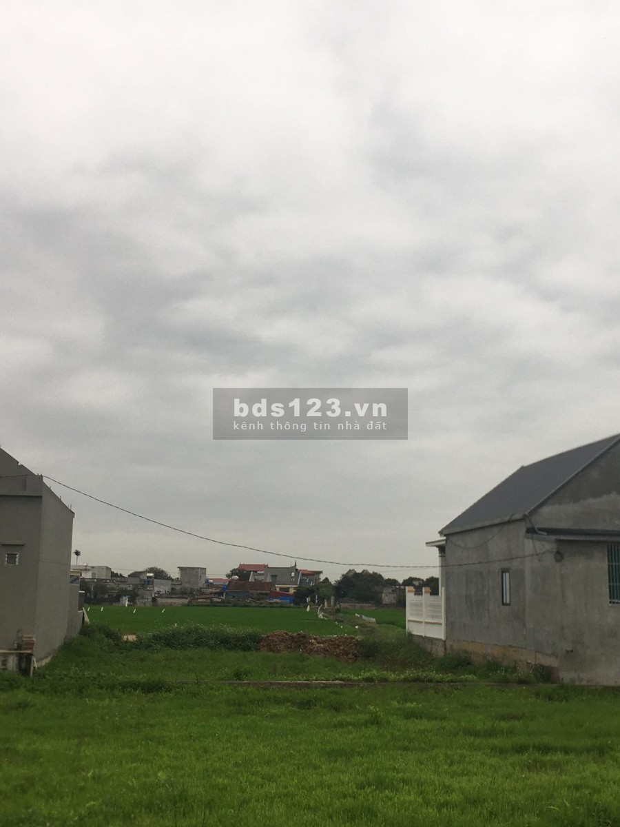 Chính chủ bán đất xã Quỳnh Bảo, huyện Quỳnh Phụ, Thái Bình 150m2 LH: 0868.674.627