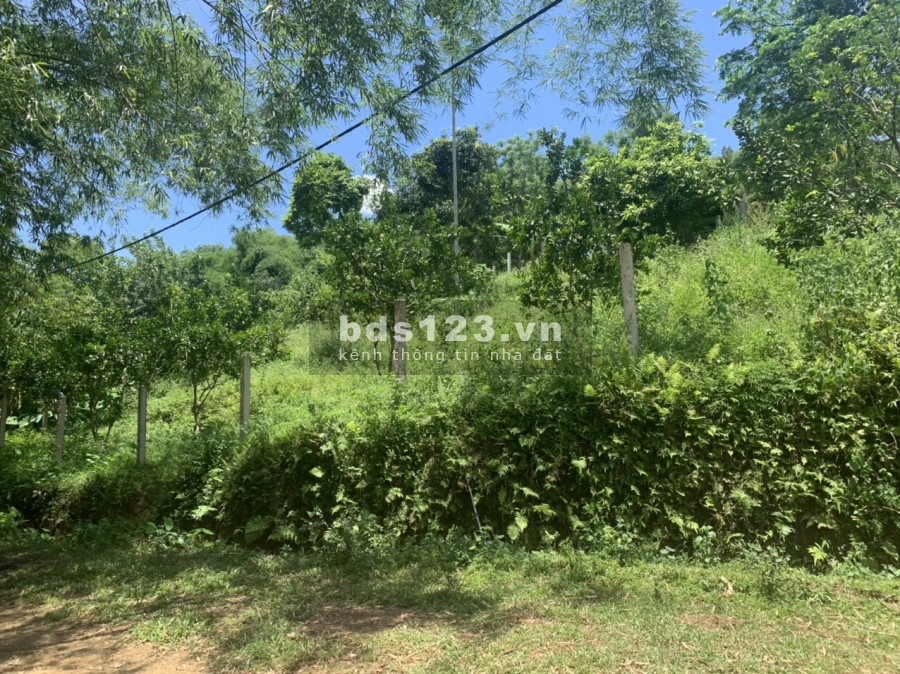 Bán nhanh mảnh đât 1244m full thổ cư, giá bán 1.5 tỷ, sổ đỏ chính chủ