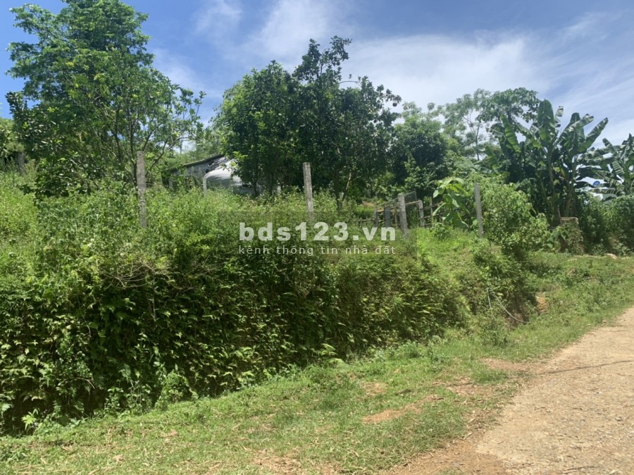 Bán nhanh mảnh đât 1244m full thổ cư, giá bán 1.5 tỷ, sổ đỏ chính chủ