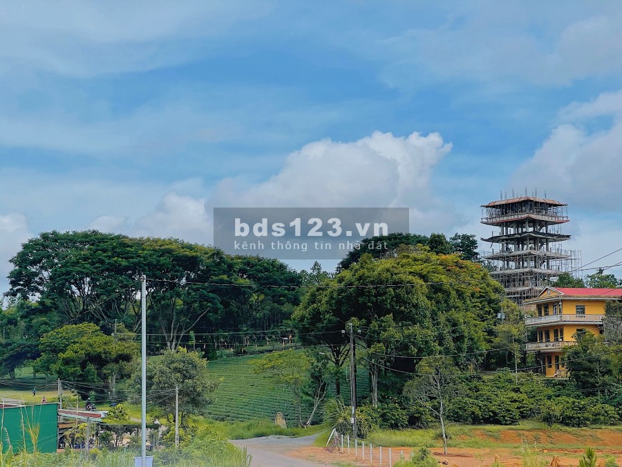 Cần tiền bán gấp lô đất nền nghỉ dưỡng tại Tp Bảo Lộc, giá bán 2.5 tỷ