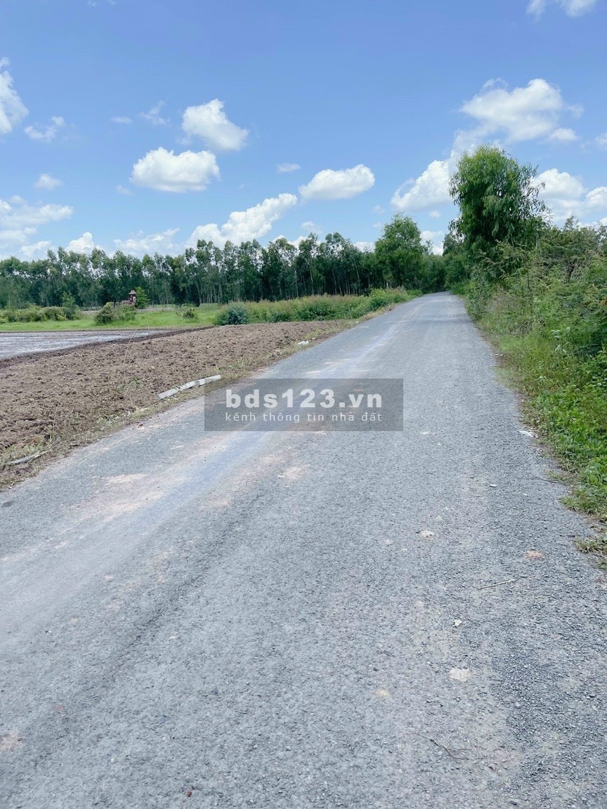 Đất thổ Long An giá rẻ cho các nhà đầu tư, đất Đức Huệ, Đức Hòa