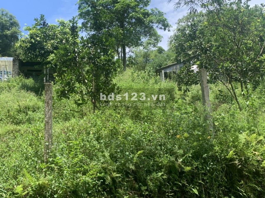 Bán nhanh mảnh đât 1244m full thổ cư, giá bán 1.5 tỷ, sổ đỏ chính chủ