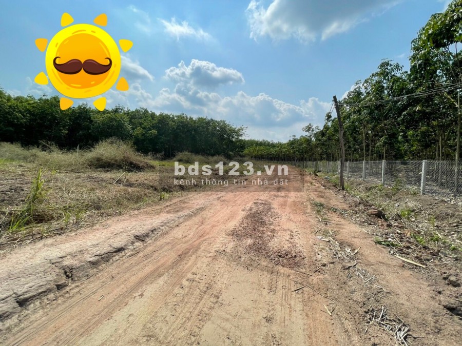 Bán đất Hớn Quản thị xã Bình Long 269tr/1000m2 sổ sẵn chính chủ, pháp lí sạch