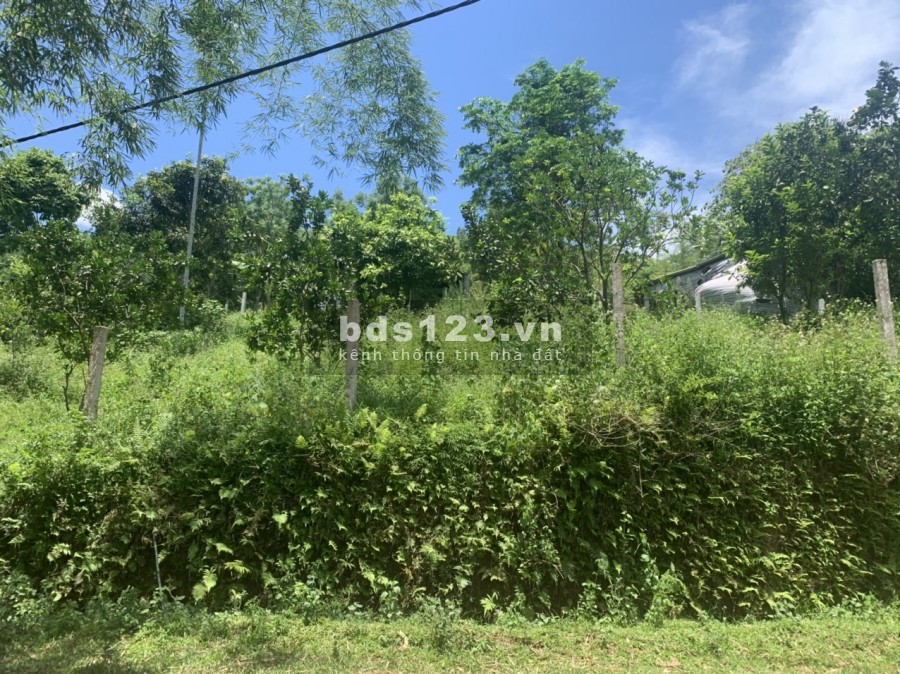 Bán nhanh mảnh đât 1244m full thổ cư, giá bán 1.5 tỷ, sổ đỏ chính chủ