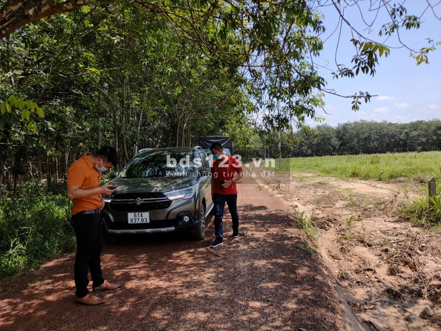 Bán Đất Gần Chợ Thanh An Và Khu Công Nghiệp Mở Rộng, giá 260 triệu