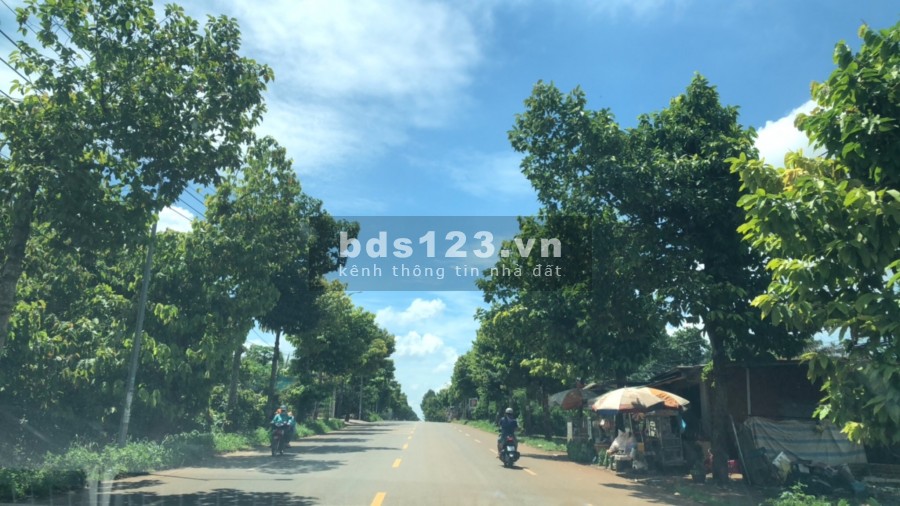 32 nền sẽ mở bán trong tuần sau, ưu đãi xịn sò, khách nhanh nhé, giá từ 7.7 triệu/m2