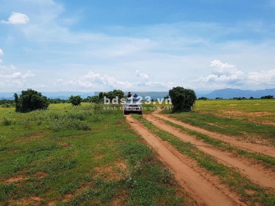 Bán 4250m2 đất nông nghiệp thị trấn chợ lầu cách liên huyện 150m, biển 4km chỉ 510tr tặng 3 chỉ Lh 0938677909