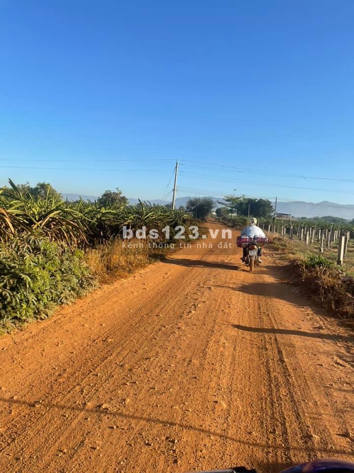Bán 4250m2 đất nông nghiệp thị trấn chợ lầu cách liên huyện 150m, biển 4km chỉ 510tr tặng 3 chỉ Lh 0938677909