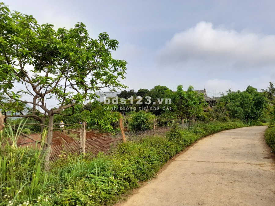 Cần Bán nhanh lô đất đệp tại Mộc Châu, khu dân cư, gần uỷ ban nhân dân