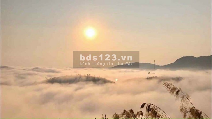 Hưởng thừa kế đất thổ cư 375m2 bán nhanh trong tuần TP Bảo Lộc Lâm Đồng