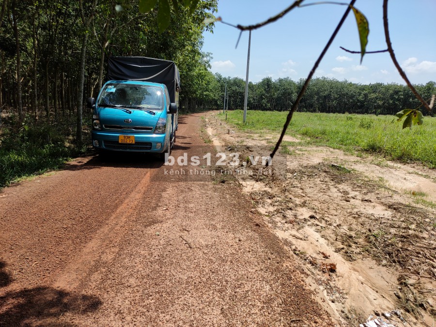 Cần bán 1000m2 giá 269 triệu sổ riêng đường xe tải, đâu tư sinh lời