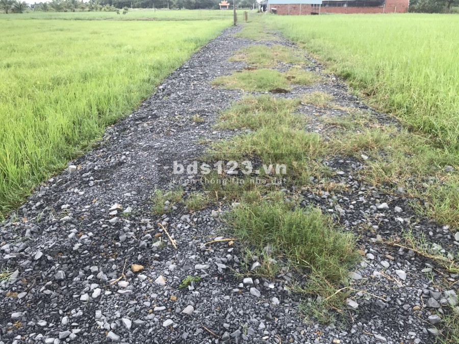 Bán Nhanh Đất Mỹ Hạnh Nam View hồ 13 Mẫu, khu dân cư lk hồ sinh thái Mỹ Hạnh Nam