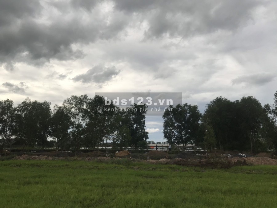 Bán Nhanh Đất Mỹ Hạnh Nam View hồ 13 Mẫu, khu dân cư lk hồ sinh thái Mỹ Hạnh Nam