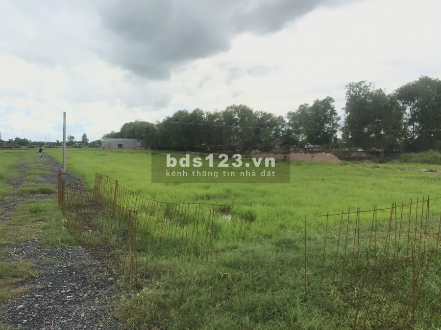 Bán Nhanh Đất Mỹ Hạnh Nam View hồ 13 Mẫu, khu dân cư lk hồ sinh thái Mỹ Hạnh Nam