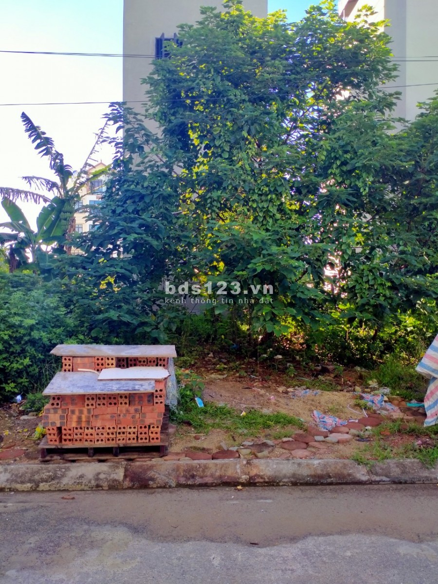 Lô đẹp khu dịch vụ LK31-Dương Nôi, Hà Đông, mặt tiền 5m cần bán rất gấp